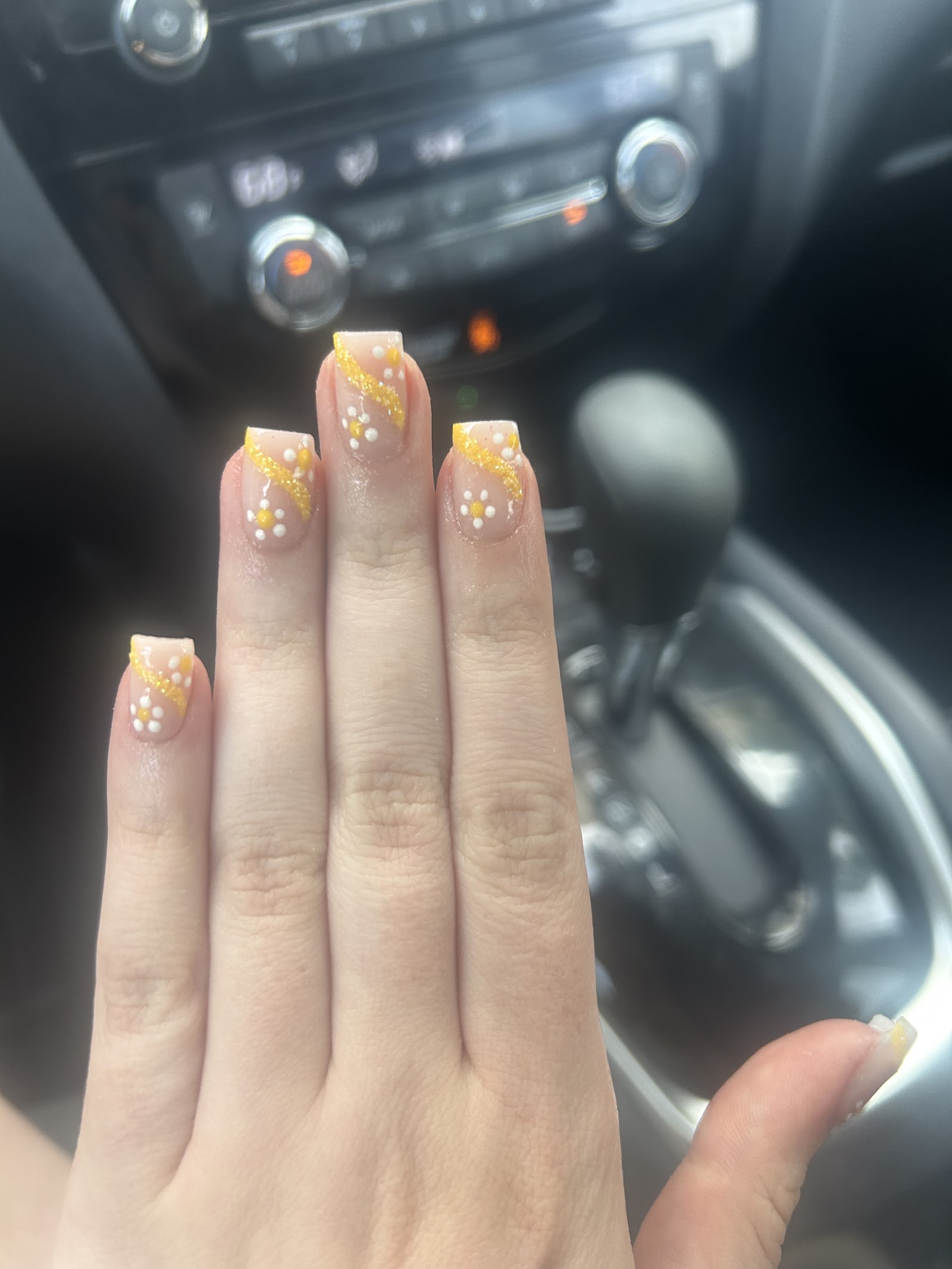 North Hills Nail Spa nail photo 3